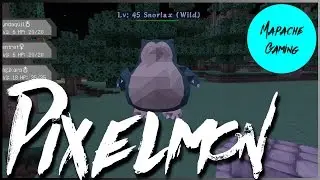Beginner's Guide to Pixelmon Minecraft