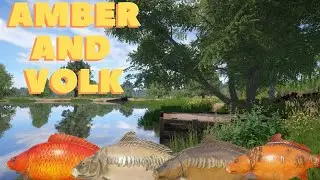 Russian Fishing 4 |  14Kg Red Starvas + TROPHY IDE +  2x Common Ghost Carps (TimeStamp in Comment)