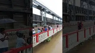 koshi barrage High alert🚨🚨🚨#koshibarrage #shortvideo #ganga #biharflood2025 #koshiriver
