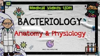 BACTERIA ANATOMY AND PHYSIOLOGY- BACTERIAL STRUCTURES