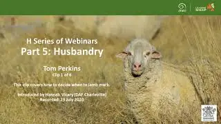 When to lamb mark - Husbandry Webinar - Clip 1 of 6