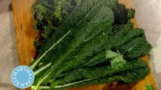 Types of Kale | Martha Stewart's Cooking School