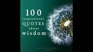 100 quotes about wisdom - John Mac
