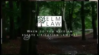 When do you need an estate litigation lawyer?  Elm Law