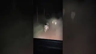 Terrifying Night Chase: Wolves Attack a Pickup in the Dark Forest! 🐺🌘