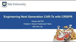Engineering Next Generation CAR T Cells with CRISPR