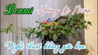 BONSAI BẢO TỒN VÀ NÂNG TẦM TÁC PHẨM. NGHỆ THUẬT KHÔNG GIỚI HẠN BONSAI HOÀNG LÊ MINH.