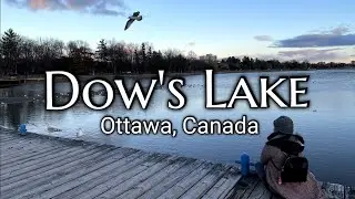 Dow's Lake - Pavilion in Ottawa, Ontario, Canada | Quick Tour |