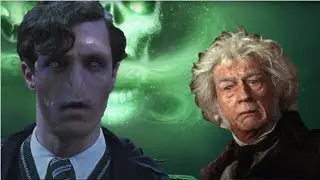 Did Garrick Olivander Respect Tom Riddle?