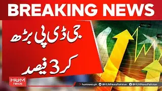 Shocking Update on Pakistan&rsquo;s GDP | Hum News | Pakistan
