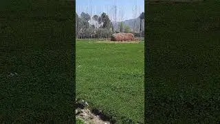 Spring season in Swat ,Pakistan .