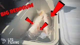 The Best Bank Fishing Spot For Reddrums And Specs In Texas! Vlog 2023