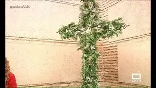 Cruces de mayo en Torralba de Calatrava - Ancha es CLM