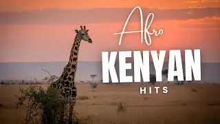 Sounds of Nairobi:Afro-Kenyan Pop Explosion