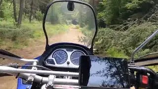 Logging road Trail 24 between Barron Canyon rd and Stencells rd 1990 XTZ 750 SUPER TENERE