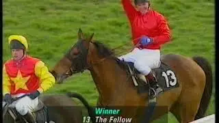 1994 Cheltenham Gold Cup The Fellow Includes Replay & Enclosure