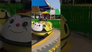 Spider rides ladybug