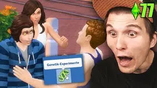 GLP und Paluten bekommen ein KIND ☆ Sims 4 Hunde & Katzen