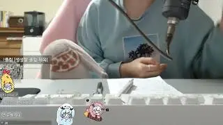 20230102 트위치 다시보기