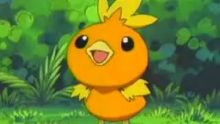 Tribute to Torchic, Combusken & Blaziken - Hot Girls in Love
