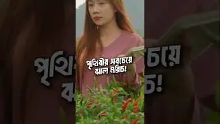 *পৃথিবীর সবচেয়ে ঝাল মরিচ! ভূত জোলোকিয়া | Guinness World Record | Seven Sisters India 🌶️*