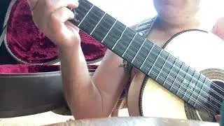 Noite Feliz - Viola Caipira