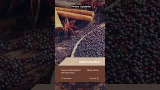 Mustard Seeds Spot Market Prices Update | 17th February 2023 |  