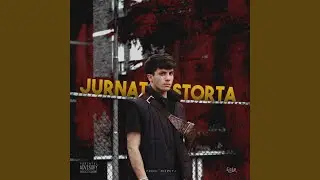 Jurnata Storta