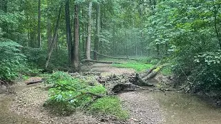 KNOBSTONE TRAIL VLOG: Part 3 - The Hardest Day
