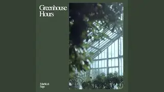 Moss and Memory