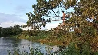 #shorts poolfun | jumping from the tree  #funnyshorts #pooljumps