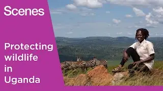 Meet the conservationists saving rare animals in Uganda | Scenes