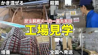 大手昆虫用品メーカーの施設がヤバすぎる