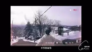 猫的树Cattree 我以为很快就能忘记你，不再想起你。却发现到最后，我变成了另一个你。