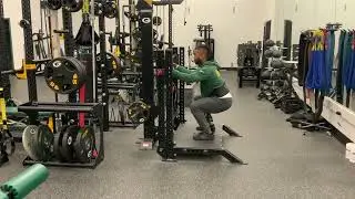 Hand Supported Squat Iso (Progression #1: Belt Squat)