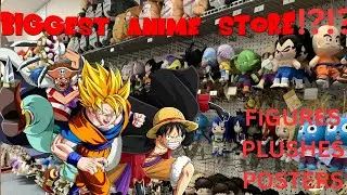 BIGGEST ANIME MERCH STORE!!! Anime Plush Hunt/Review Vlog