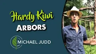 HOW TO GROW KIWI FRUITS THE RIGHT WAY 🥝 - Taming Kiwi Vines! | Building a HARDY KIWI TRELLIS