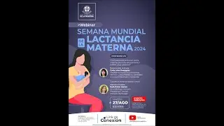 Webinar Lactancia Materna