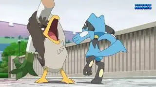 ポケットモンスターXY&Z Riolu vs Galarian Farfetch'd English Dub - Pokemon Journeys English Dub