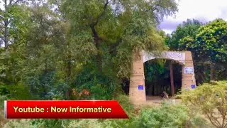Changa Manga Forest Pakistan | Outside view from train | #nowinformative