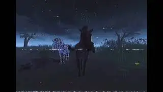 Western horse ￼VHS tape