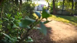 Mi 9 Sample - filmed with Filmic Pro