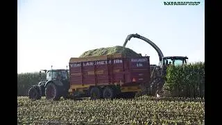 Ensilage de ma&iuml;s - Claas jaguar 960 & 10 tracteurs Fendt - TB Agri