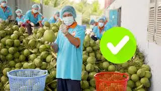 TVC QUẢNG CÁO TRUE FRUIT