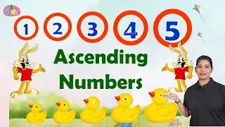 Ascending Order | Mathematics Grade 1 | Learn Maths Ascending Order & Descending Order | Anikidz
