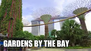 【4k 60fps】 Gardens By The Bay SINGAPORE Super Tree Walking Tour 2022 Vlog