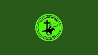 Elkhart Horse Auctions is live! LIVE USED  TACK  SALE!!!