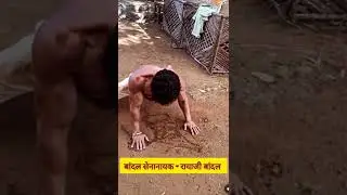 Ankit Mohan as a Rayaji Bandal | Pavankhind movie | पावनखिंड | Bandal Sena #bandalsena #shorts