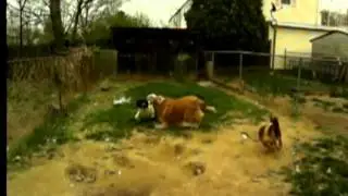 Samsung Tl320 Wb2000 Slow Motion 240fps