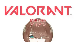 【VALORANT】まったり楽しくヴァロ【新人Vtuber/夜光真澄】
